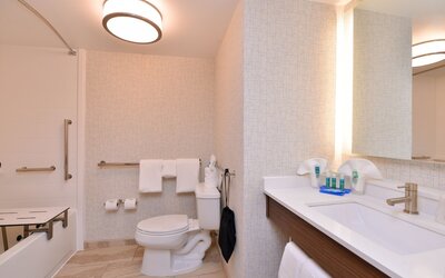 Holiday Inn Express & Suites Indianapolis Dtn-Conv Ctr Area by IHG