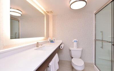 Holiday Inn Express & Suites Indianapolis Dtn-Conv Ctr Area by IHG