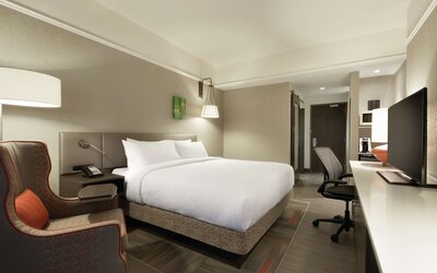 Business Single Room, 1 King Bed, Accessible (With Tub)