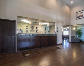 Comfort Inn & Suites Airport South