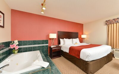 Comfort Inn & Suites Airport South