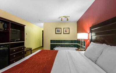 Comfort Inn & Suites Airport South
