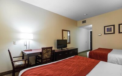 Comfort Inn & Suites Airport South