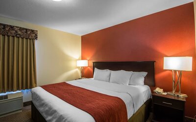 Comfort Inn & Suites Airport South
