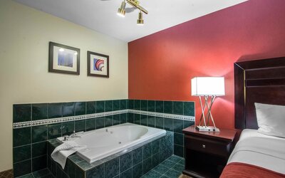 Comfort Inn & Suites Airport South