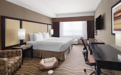 Best Western Premier Freeport Inn Calgary Airport