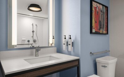 Hilton Garden Inn Indianapolis/Carmel