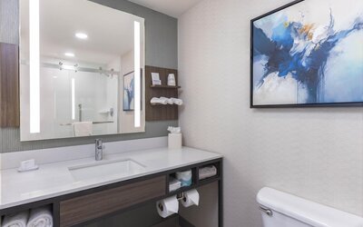 Hilton Garden Inn Des Moines/Urbandale