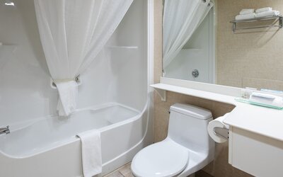 Royal Hotel West Edmonton, Trademark Collection by Wyndham