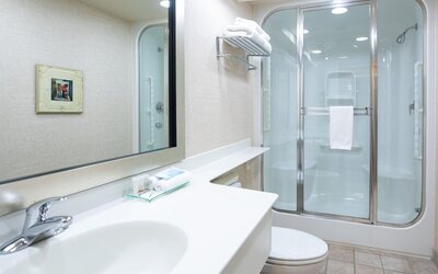 Royal Hotel West Edmonton, Trademark Collection by Wyndham