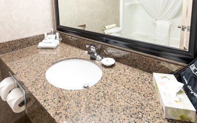 Royal Hotel West Edmonton, Trademark Collection by Wyndham