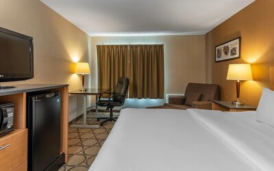 Room, 1 King Bed, Non Smoking