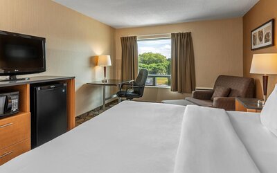Standard Room, 1 King Bed, Non Smoking, Ground Floor