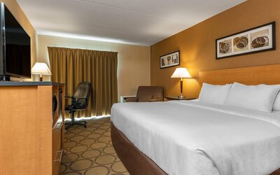 Standard Room, 1 Queen Bed, Non Smoking