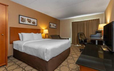 Comfort Inn West Edmonton