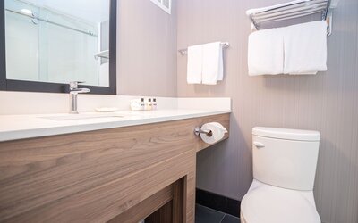 Sandman Hotel Edmonton West