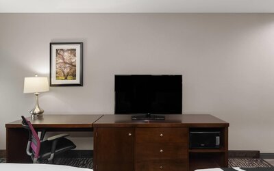 La Quinta Inn & Suites by Wyndham Baton Rouge Denham Springs