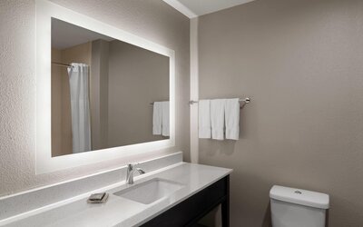 La Quinta Inn & Suites by Wyndham Baton Rouge Denham Springs