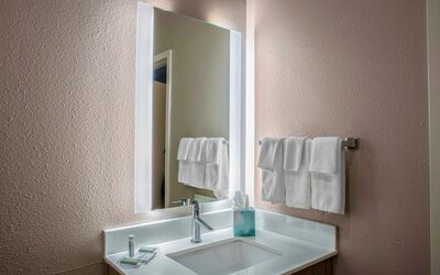 Springhill Suites By Marriott Baton Rouge South