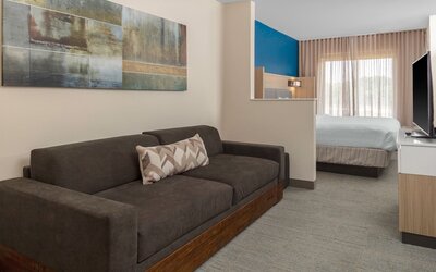 Springhill Suites By Marriott Baton Rouge South