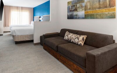 Springhill Suites By Marriott Baton Rouge South