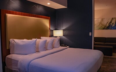 SpringHill Suites by Marriott Baton Rouge North/Airport