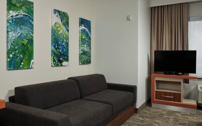 SpringHill Suites by Marriott Baton Rouge North/Airport