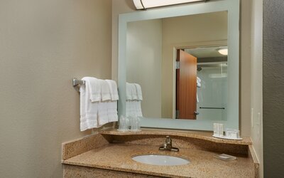 SpringHill Suites by Marriott Baton Rouge North/Airport