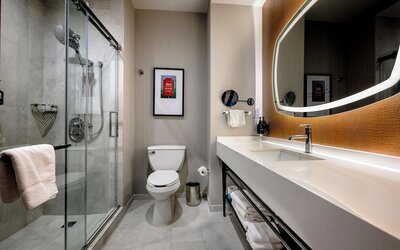Hotel Indigo Baton Rouge Downtown by IHG