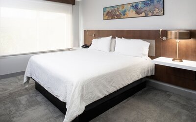Hilton Garden Inn Baton Rouge Airport