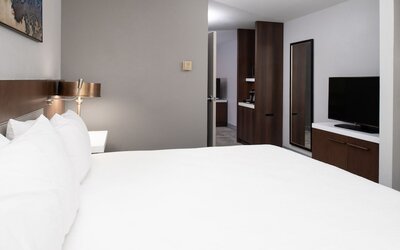 Hilton Garden Inn Baton Rouge Airport