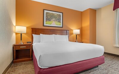 Drury Inn & Suites Baton Rouge