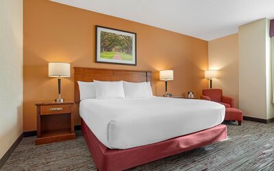 Drury Inn & Suites Baton Rouge