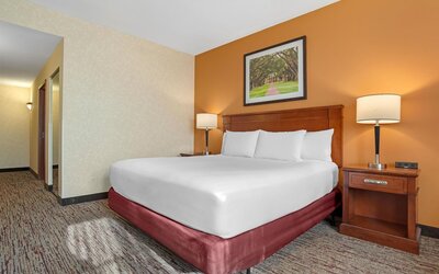 Drury Inn & Suites Baton Rouge