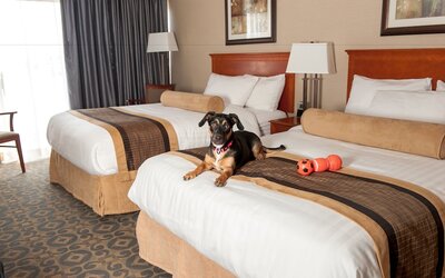 Best Western Brantford Hotel & Conference Centre
