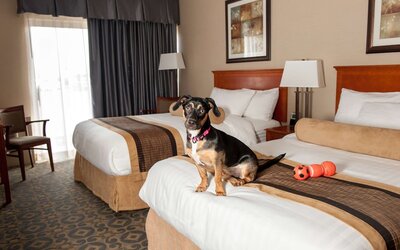 Best Western Brantford Hotel & Conference Centre