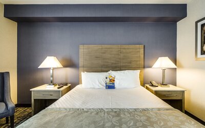 Monte Carlo Inn Oakville Suites