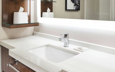 Delta Hotels by Marriott Minneapolis Northeast