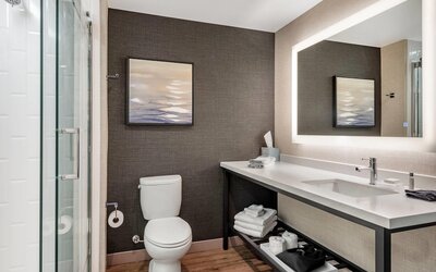 Cambria Hotel Minneapolis Downtown