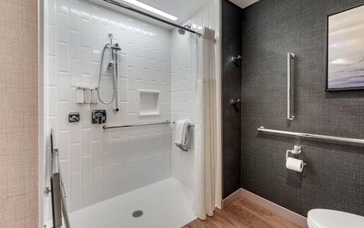 Cambria Hotel Minneapolis Downtown