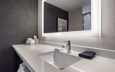Cambria Hotel Minneapolis Downtown