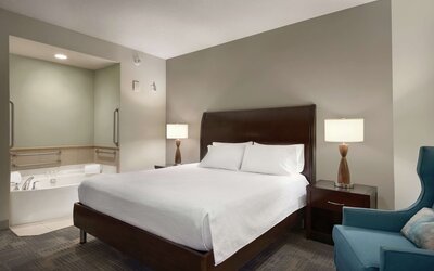 Hilton Garden Inn Minneapolis Downtown