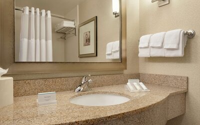 Hilton Garden Inn Minneapolis Downtown