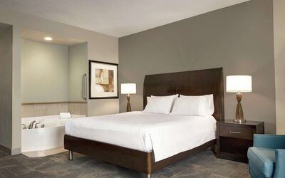 Hilton Garden Inn Minneapolis Downtown