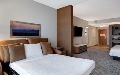 Fairfield Inn & Suites By Marriott Minneapolis Downtown