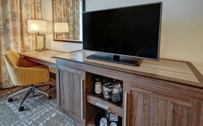 Hampton Inn & Suites Minneapolis / Downtown