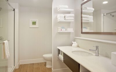 Hampton Inn & Suites Minneapolis / Downtown