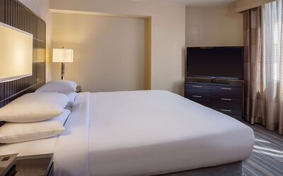 DoubleTree Suites by Hilton Minneapolis Downtown