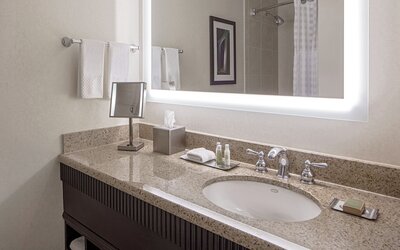 DoubleTree Suites by Hilton Minneapolis Downtown