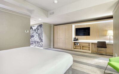 Room, 1 King Bed, Accessible (Mobility Roll In Shower)